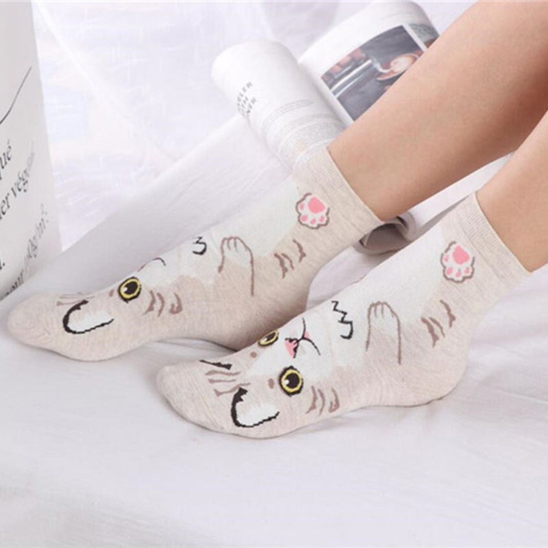 5 par/opakowanie Śmieszne Skar – Cotton Crew Sock Pack recenzja i cena
